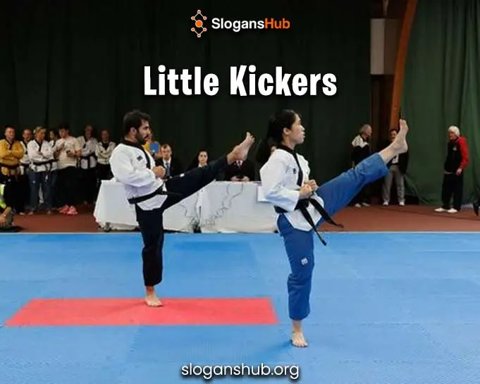 145 Latest Taekwondo Team Names Taekwondo Squad Names 145 Latest Taekwondo Team Names Taekwondo Squad Names