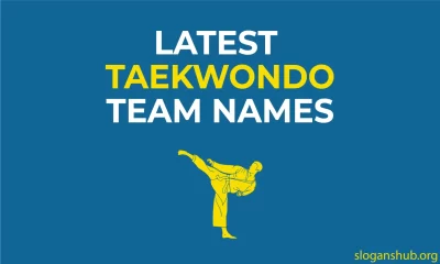 Latest-Taekwondo-Team-Names