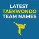 Latest-Taekwondo-Team-Names