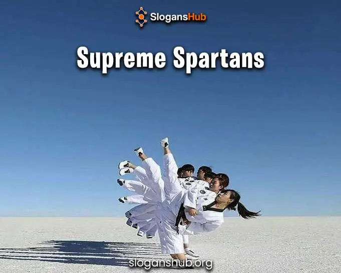 145 Latest Taekwondo Team Names Taekwondo Squad Names 145 Latest Taekwondo Team Names Taekwondo Squad Names