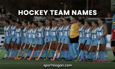 Hockey Team Names