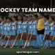 Hockey Team Names