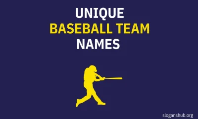 Unique Baseball Team Names