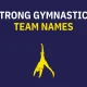 Gymnastics Team Names