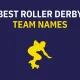 Roller Derby Team Names